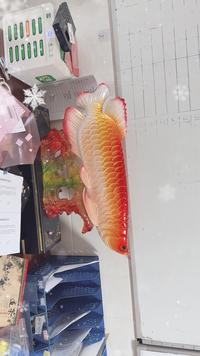 深圳市龙岗区永兴汽车头像