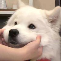 自在艺术家744头像