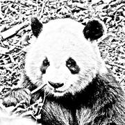 掘金尧月的个人资料头像