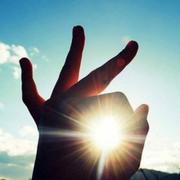 三杯两盏淡酒的个人资料头像