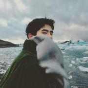 bufushaohua的个人资料头像