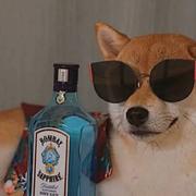 Charon558的个人资料头像