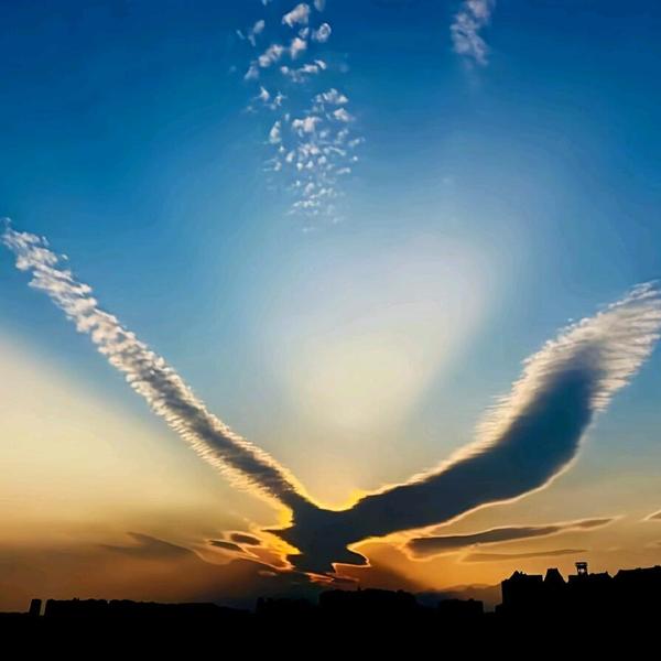 大鹏直上九万里头像