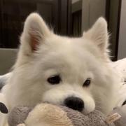 十六夜咲夜的个人资料头像