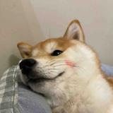 是破头像