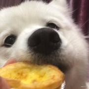迷毂的个人资料头像