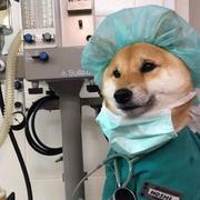 Xin259的个人资料头像