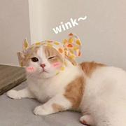 leafmeow的个人资料头像