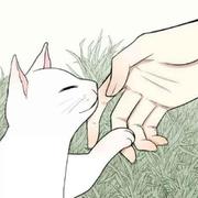 swing_11的个人资料头像