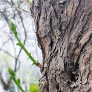 CoderTao的个人资料头像