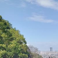 用户6754375688186头像