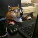 樊同学的个人资料头像