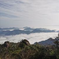 油条包麻糍果头像