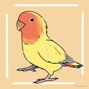 羊咩咩女士的个人资料头像