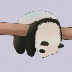 熊猫Patry头像