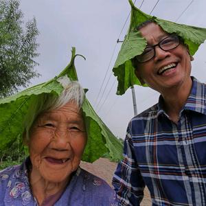 大地游子头像