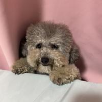 默默看着你们ggg头像