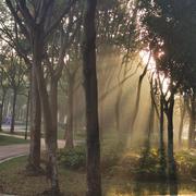 阁下是谁的个人资料头像