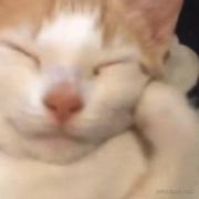 MTier的个人资料头像