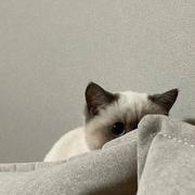 懒大王www的个人资料头像