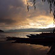 谢苗苗的个人资料头像