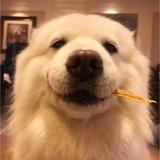 山枝ᯤ⁶ᴳ头像