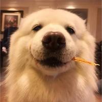 山枝ᯤ⁶ᴳ头像