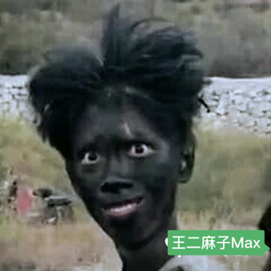 王二麻子Max头像