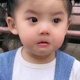 比亚唐车头像