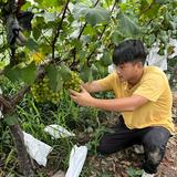蚌埠市老长淮家庭农场头像