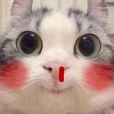 阿头像