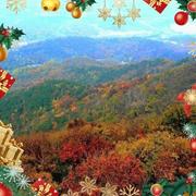 ZJY132的个人资料头像