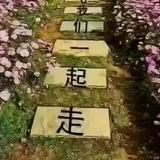 断了线的风筝3886头像