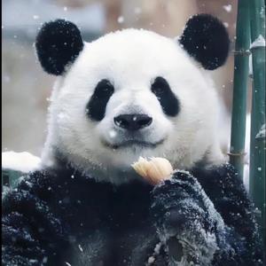 番茄1398996373606989头像
