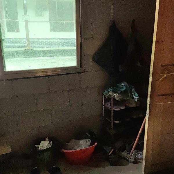 爱车佼佼者头像