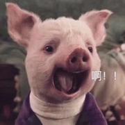 if的个人资料头像