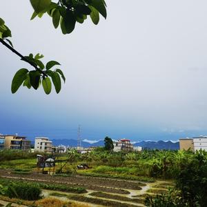 大伟在江湖头像