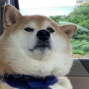 TinyWill的个人资料头像