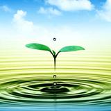雨过天晴！头像