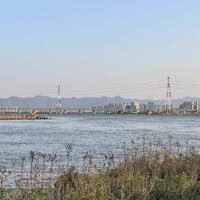 来杯优酸乳头像