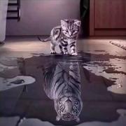 Natural226的个人资料头像