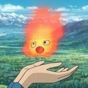 幸拾的个人资料头像