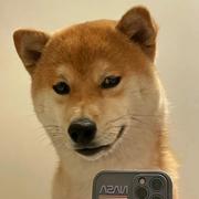 laogudong的个人资料头像