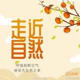 小新新笑看天下事头像
