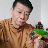 车管老司机头像