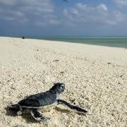 squarezw的个人资料头像