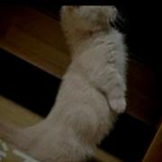 Atleisure的个人资料头像