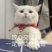 路行_lx的个人资料头像