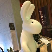 又在兜圈的木头头像