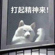 chenheliar的个人资料头像